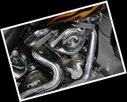 1988 Harley-Davidson Softail Custom